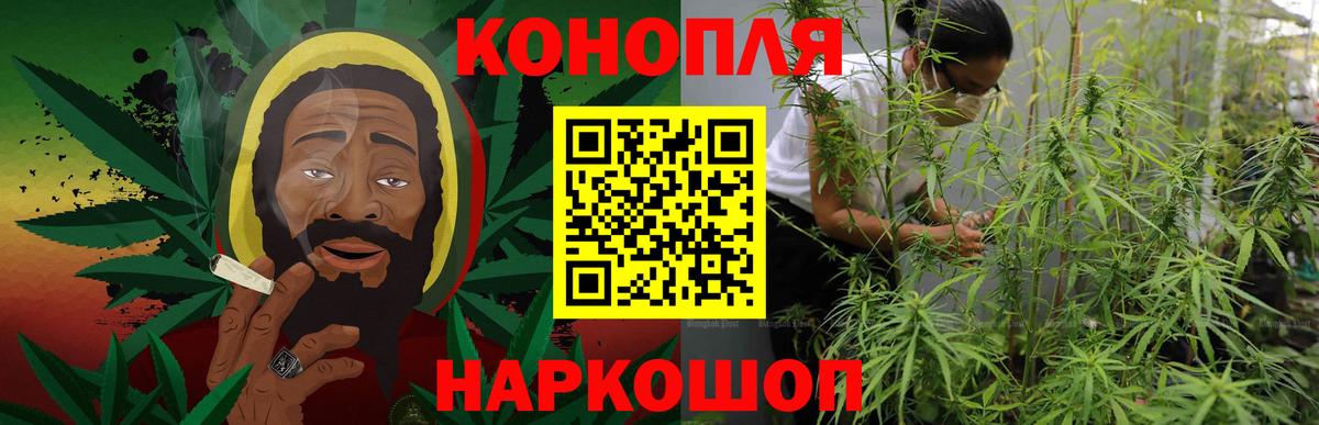 Шишки марихуана конопля Избербаш